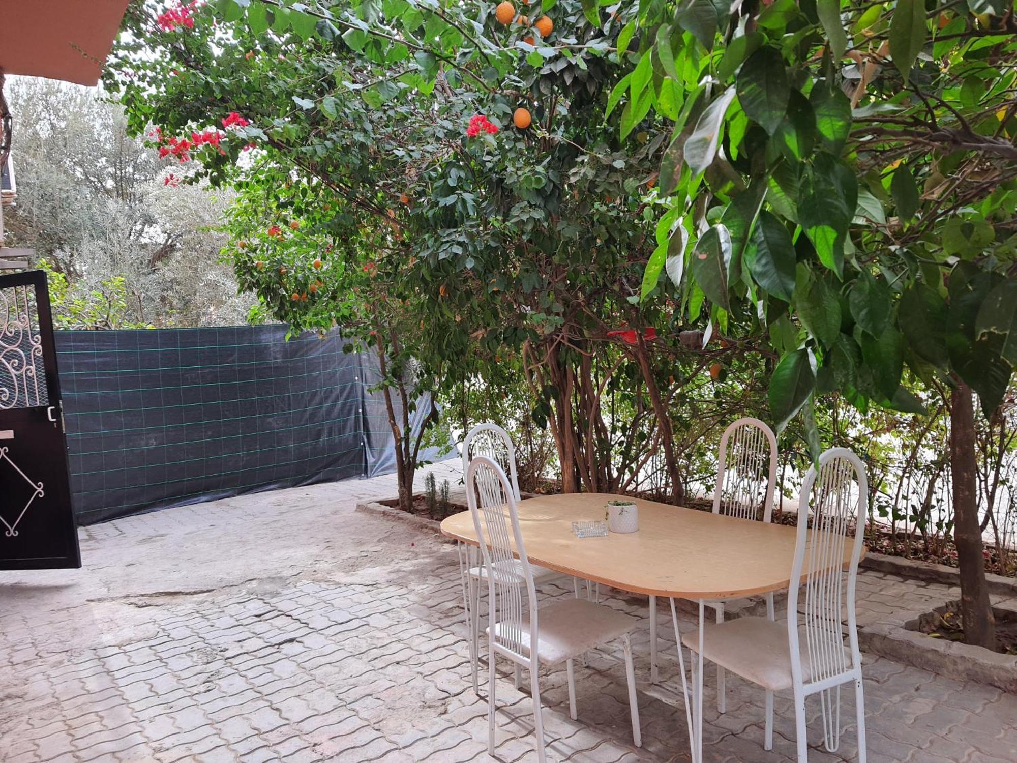 Marrakech Plus マラケシュ エクステリア 写真