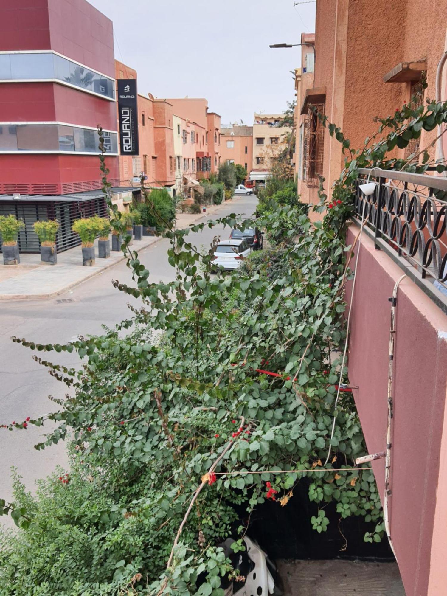 Marrakech Plus マラケシュ エクステリア 写真