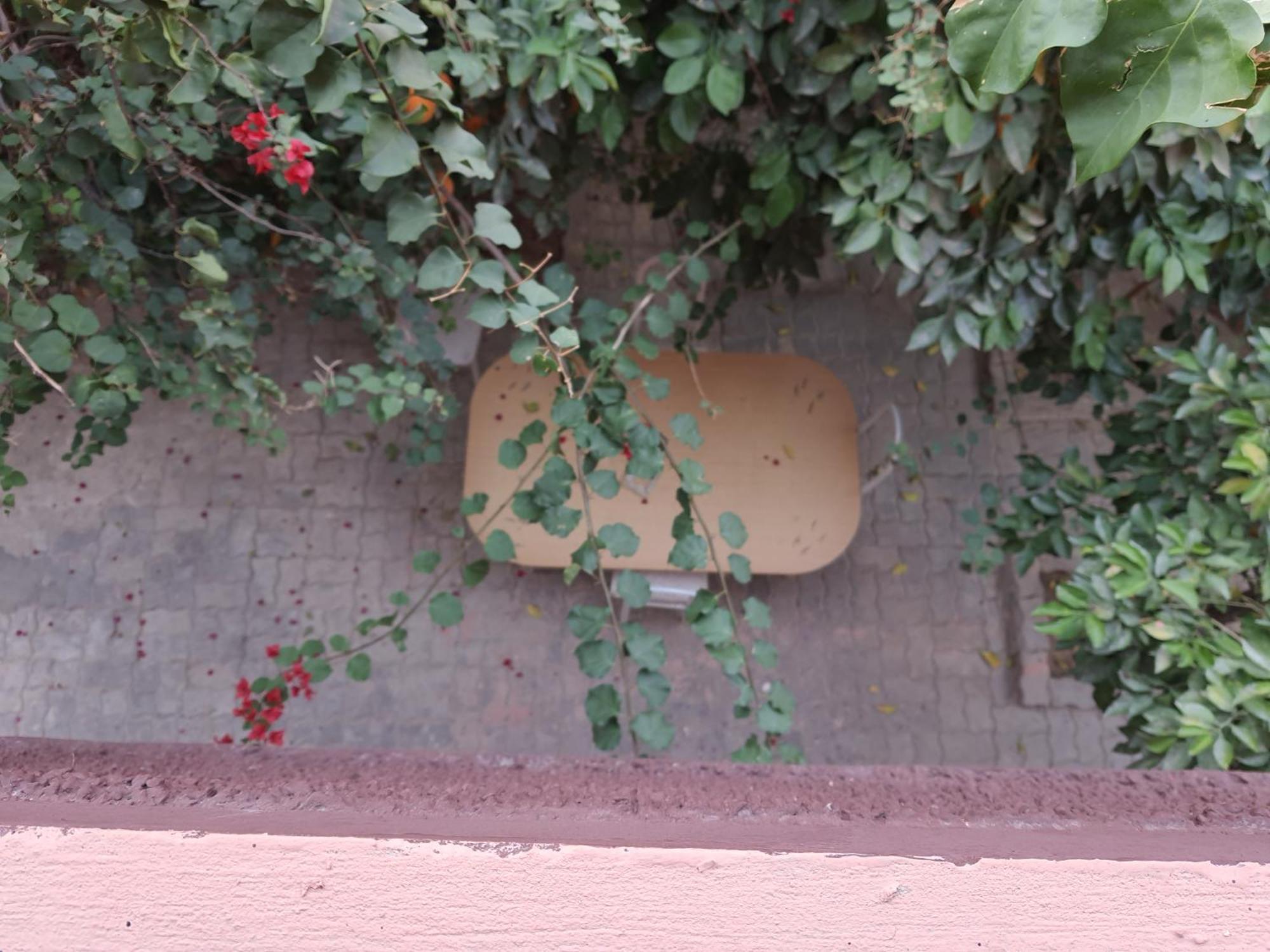Marrakech Plus マラケシュ エクステリア 写真